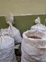Продавам стари орехи с черупка, снимка 2