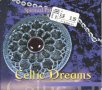 piritual Paty Celtic Dreams, снимка 1 - CD дискове - 35467982