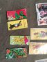 Продавам картинки и опаковки от дъвки, снимка 6