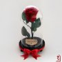 Подарък за Рожден ден на Жена / Вечна ЕСТЕСТВЕНА Роза в Стъкленица / Подарък за Мама, снимка 6