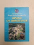 Щрихи от Швейцария - Параскева Бодурова (1998), снимка 1