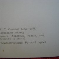 Руска картичка снимка лов и животни-5бр, снимка 3 - Антикварни и старинни предмети - 30633735