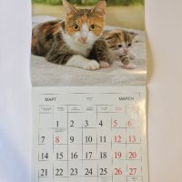 Стенен календар 2011 Котки, снимка 7 - Други - 38776717