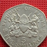 Монета 5 шилинга 1985г. Кения уникат за КОЛЕКЦИОНЕРИ 41200, снимка 1 - Нумизматика и бонистика - 42789475