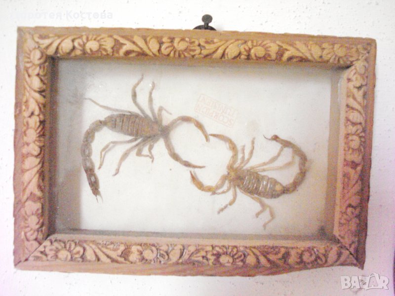 Старо пано за стена със скорпиони и дърворезба, снимка 1
