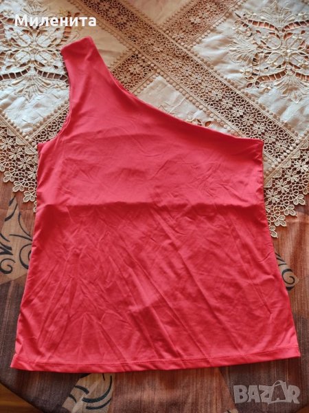 Потник, снимка 1