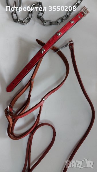 Каишка за кучета, снимка 1