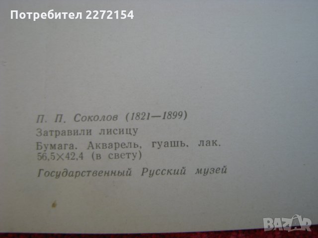Руска картичка снимка лов и животни-5бр, снимка 3 - Антикварни и старинни предмети - 30633735