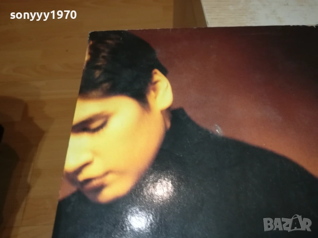 TANITA TIKARAM-ПЛОЧА ОТ АНГЛИЯ 2608251141, снимка 10 - Грамофонни плочи - 51493152