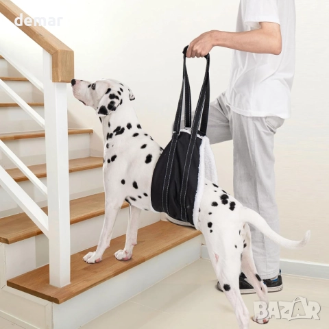 Регулируем колан за кучета, опора за задни крака, рехабилитация, L, снимка 3 - За кучета - 52278589