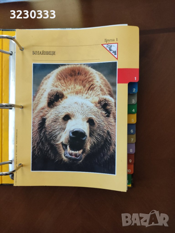 "Чудният свят на животните" албум, снимка 6 - Детски книжки - 40724538