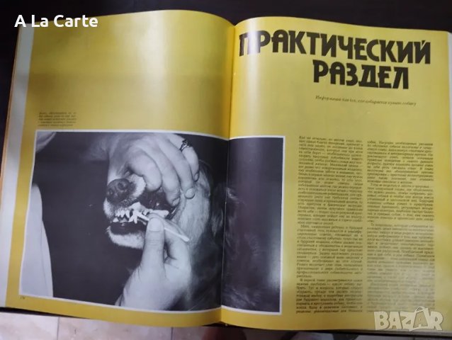 Енциклопедия Кинология, Породи кучета , снимка 6 - Специализирана литература - 49730485