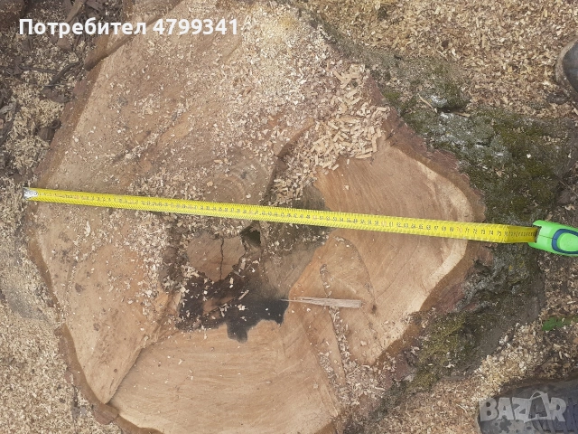 Дървен материал орех, снимка 7 - Други - 54221452