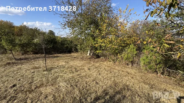 Парцел от собственик!С.Неново, снимка 2 - Парцели - 56488417