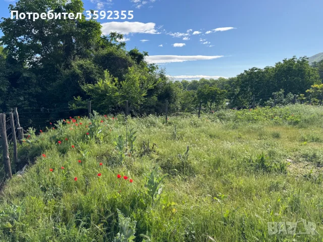 Продавам парцел УПИ в село Коларово 802 кв., снимка 8 - Парцели - 56071656