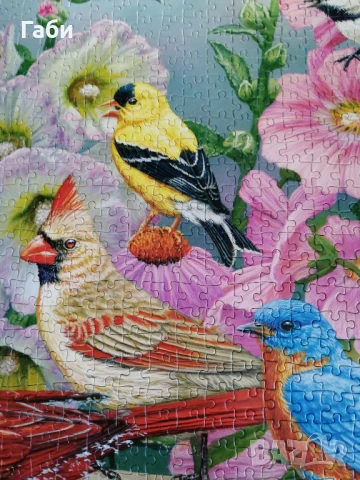 Пъзел Castorland 2000 части Ритъмът на природата, снимка 4 - Пъзели - 51160060