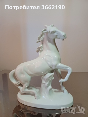 Порцеланов кон