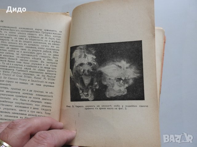 Суровата растителна храна. Нейното лечебно и здравословно действие, 1943 г., снимка 4 - Специализирана литература - 35509765