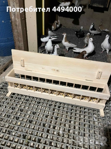 Хранилки за гълъби, снимка 8 - Гълъби - 52640305