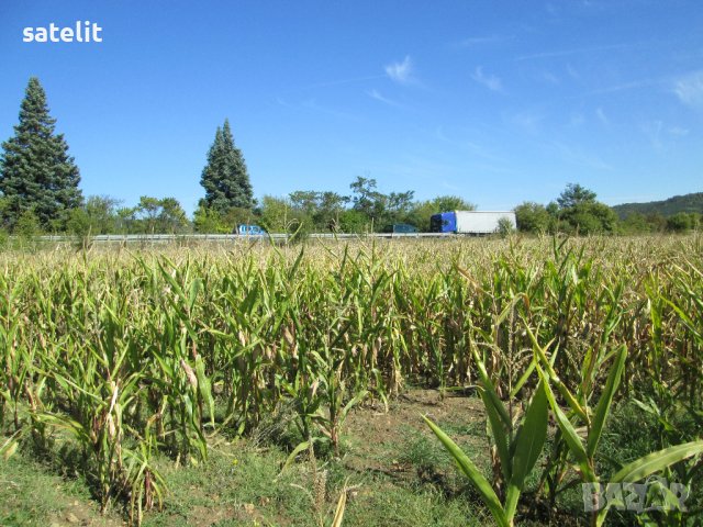 Продавам имот в землището на село Горна Малина директно до главен път, снимка 7 - Земеделска земя - 37381522