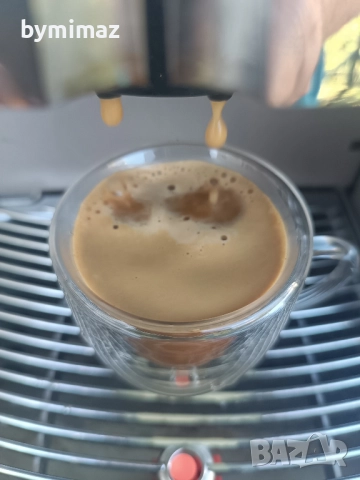 Saeco Royal Professional , снимка 15 - Кафемашини - 51771750