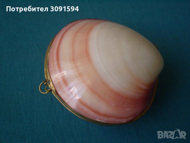 кутия за бижута мида, снимка 18 - Антикварни и старинни предмети - 37924641