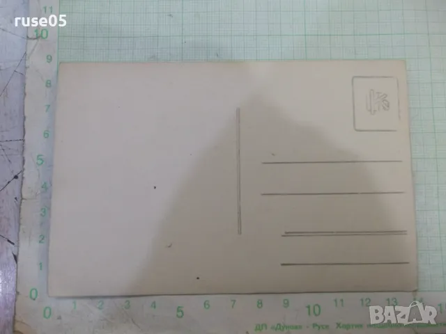 Снимка стара на дама пред цвете, снимка 2 - Колекции - 48003414