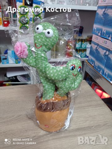 Повтарящ, пеещ и танцуващ кактус, снимка 1
