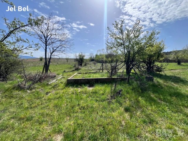 1.2 Дка Парцел / Дворно Място в Казанлък / Енина вилна зона "Старите Лозя" 