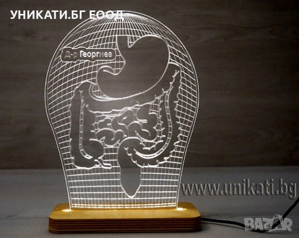 Лед лампа Подарък за лекар гастроентеролог