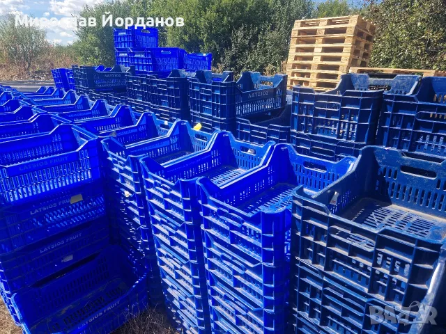 Каси, много здрави!