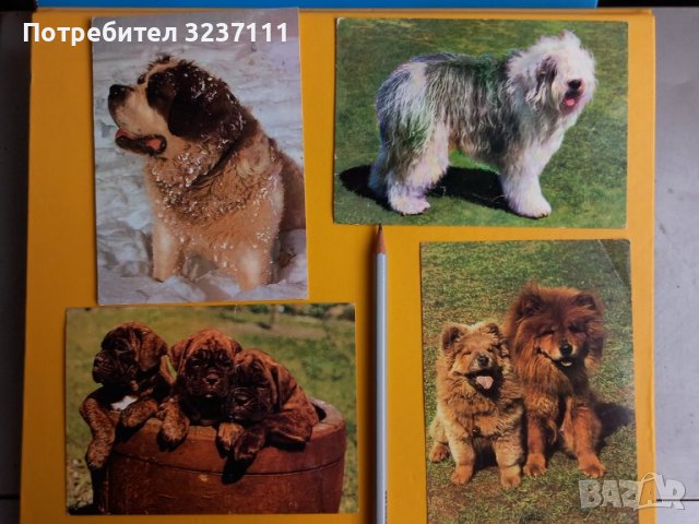 Кучета картички - лот 2, снимка 5 - Колекции - 39807360