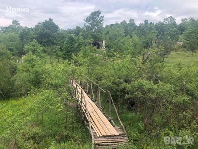 Къща, пчелин и двор с големи дървета, снимка 3 - Парцели - 51394109