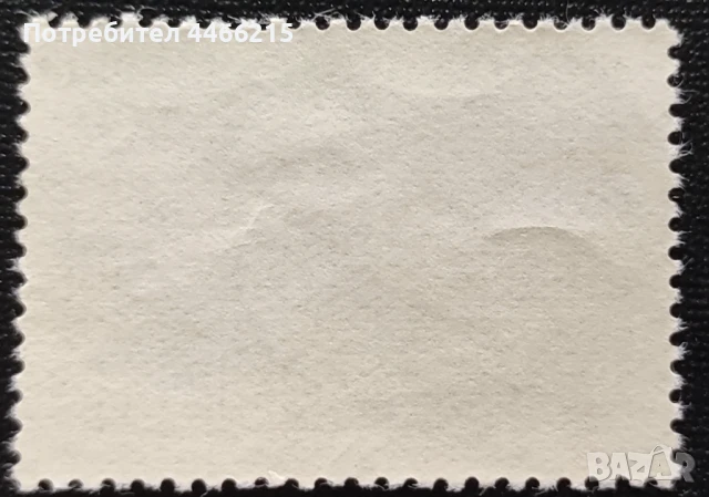 СССР, 1960 г. - самостоятелна чиста марка, личности, 1*28, снимка 2 - Филателия - 50667767