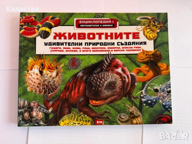 Комплект от 8 детски енциклопедии и занимателни книги, снимка 3 - Детски книжки - 56008425