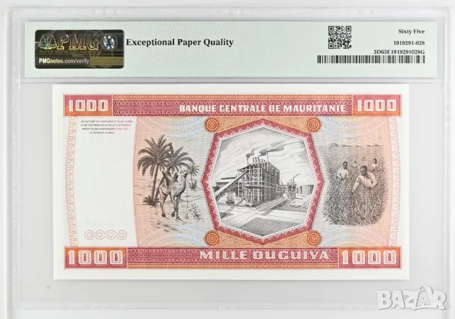 Мавритания 1000 угия 1981 година PMG 65, снимка 2 - Нумизматика и бонистика - 50371577
