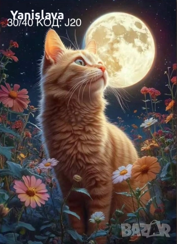 Диамантени гоблени за изработка ✅, снимка 2 - Гоблени - 42315549