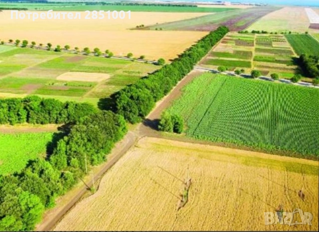 Продавам орехова градина 2.7дка