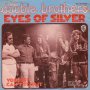 Грамофонни плочи The Doobie Brothers – Eyes Of Silver 7" сингъл, снимка 1 - Грамофонни плочи - 44424091