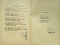 Моята пролеть. Книга 1 Пролетсинъ Чачановски /1933/, снимка 5