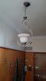 Красив полилей 2броя, снимка 5