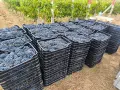 Продавам грозде СИРА, снимка 1