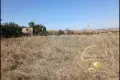 парцел село Бисер, снимка 5