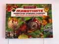 Комплект от 8 детски енциклопедии и занимателни книги, снимка 3
