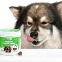 Nutripooch пробиотици за кучета - 120 дъвки, имунитет на червата, облекчаване сърбежа при алергии, снимка 2 - За кучета - 44207712