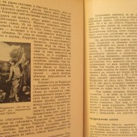 Николай Райнов -Модерно изкуство-в царството на колорита, снимка 9 - Антикварни и старинни предмети - 35660659