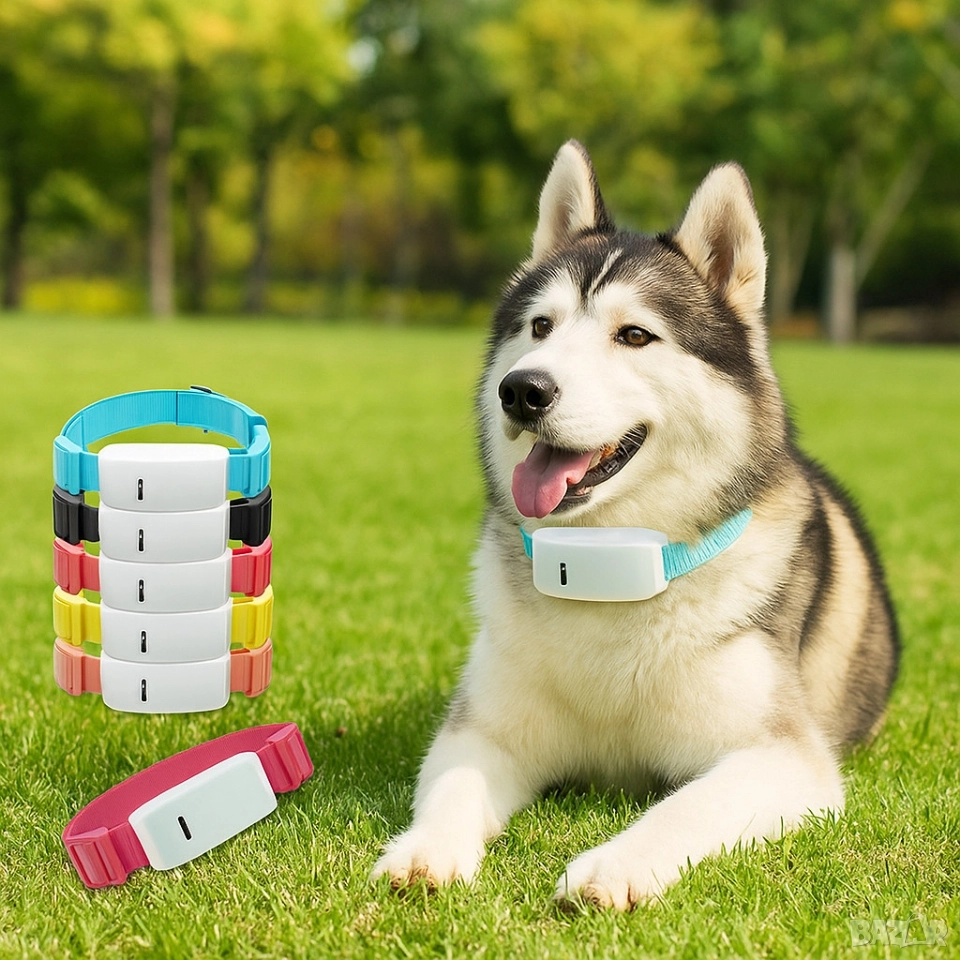 GPS Тракер за домашен любимец - GPS Локатор ;, снимка 1