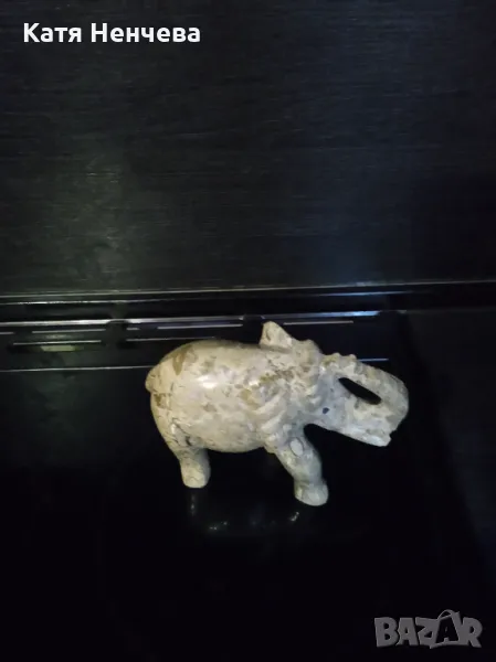 Декоративно слонче, снимка 1