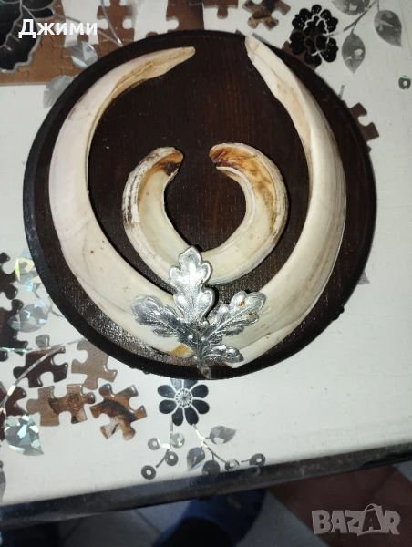 зъби от глиган, снимка 1