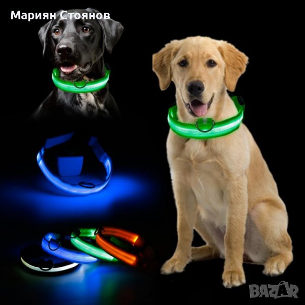 Светещ LED нашийник каишка за куче котка с USB зареждане лед, снимка 1